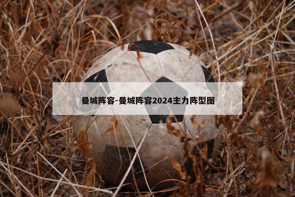 曼城阵容-曼城阵容2024主力阵型图