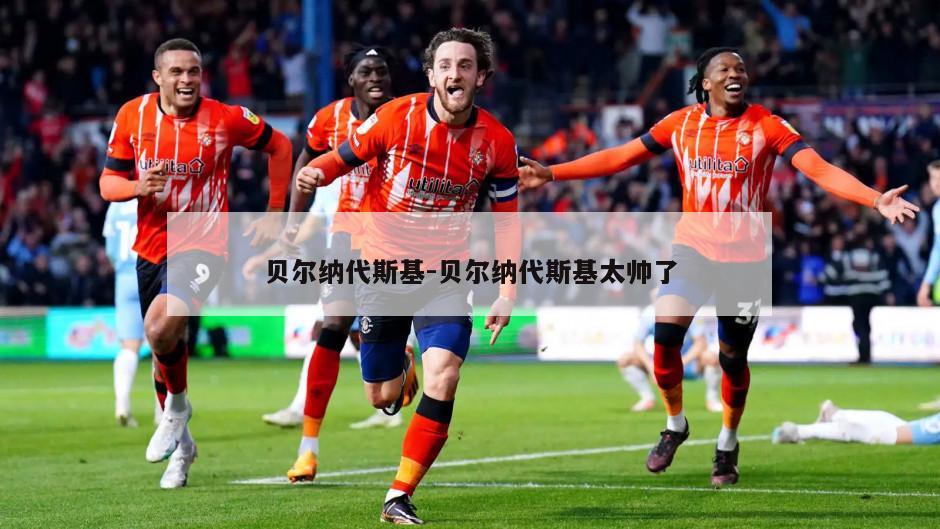 贝尔纳代斯基-贝尔纳代斯基太帅了