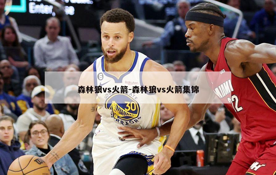 森林狼vs火箭-森林狼vs火箭集锦